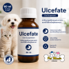 Ulcefate 