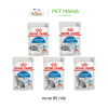 Royal Canin Indoor Sterilised Pouch (85g)