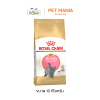 Royal Canin Kitten British Shorthair โรยัลคานิน อาหารแมว สำหรับลูกแมวพันธุ์บริติช ชอร์ตแฮร์ ขนาด 10 kg.