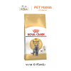 Royal Canin British Shorthair Adult โรยัลคานิน อาหารแมว สำหรับแมวโตพันธุ์บริติช ชอร์ตแฮร์ ขนาด 10 kg.