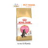 Royal Canin KITTEN MAINECOON โรยัลคานิน อาหารแมว สำหรับลูกแมวพันธุ์เมนคูน ขนาด 10 kg.