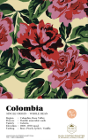 Colombia rose valley