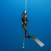 Freediving Frenzel Qualization Workshop (ประเภท Training)