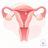 ติ่งเนื้อโพรงมดลูก endometrial polyp ติ่งเนื้อโพรงมดลูก endometrial polyp