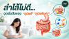 ลำไส้ไม่ดี... จุดเริ่มต้นของ “ภูมิแพ้” และ “ภูมิแพ้แฝง” ลำไส้ไม่ดี... จุดเริ่มต้นของ “ภูมิแพ้” และ “ภูมิแพ้แฝง”