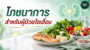 โภชนาการสำหรับผู้ป่วยไตเสื่อม กินอย่างฉลาด เพื่อคุณภาพชีวิตที่ดีขึ้น โภชนาการสำหรับผู้ป่วยไตเสื่อม กินอย่างฉลาด เพื่อคุณภาพชีวิตที่ดีขึ้น