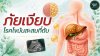 ภัยเงียบ! โรคไขมันสะสมที่ตับ รู้เร็ว ป้องกันได้ก่อนตับเสียหาย ภัยเงียบ! โรคไขมันสะสมที่ตับ รู้เร็ว ป้องกันได้ก่อนตับเสียหาย