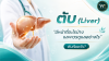 ตับคืออะไร