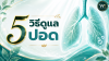 5 วิธีดูแลปอด หายใจได้เต็มปอด ชีวิตแข็งแรงทุกวัน 5 วิธีดูแลปอด หายใจได้เต็มปอด ชีวิตแข็งแรงทุกวัน
