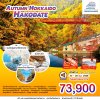 JP01 ทัวร์ญี่ปุ่น Autumn Hokkaido Hakodate 6 วัน 4 คืน TG