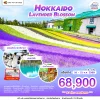 JP01CTS260716 ทัวร์ฮอกไกโด LAVENDER 6D 4N