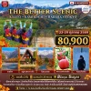 ทัวร์ญี่ปุ่น เกียวโต คามิโคจิ ฮาคุบะ โตเกียว 8วัน 5คืน (JL)