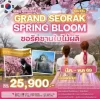 KR25 ทัวร์เกาหลี ซอรัคซานใบไม้ผลิ บินหรู 5 วัน 3 คืน (OZ)