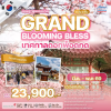 KR25 ทัวร์เกาหลี เทศกาลดอกพ็อดกด บินหรู 5 วัน 3 คืน (OZ)