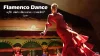 พารู้จัก เสน่ห์การเต้นแบบสเปน ระบำฟลามิงโก้ (Flamenco Dance) พารู้จัก เสน่ห์การเต้นแบบสเปน ระบำฟลามิงโก้ (Flamenco Dance)