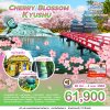JP01FUK013 ทัวร์ญี่ปุ่น เชอร์รี่บลอสซั่ม คิวชู 6 วัน 4 คืน (TG)