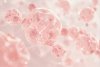 NK Cell ช่วยเสริมการรักษามะเร็งได้อย่างไร?