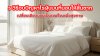 5_วิธีจบปัญหาไรฝุ่นบนที่นอนให้สิ้นซาก_เปลี่ยนเตียงนอนเป็นเซฟโซนเพื่อสุขภาพ 5_วิธีจบปัญหาไรฝุ่นบนที่นอนให้สิ้นซาก_เปลี่ยนเตียงนอนเป็นเซฟโซนเพื่อสุขภาพ