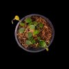 Ficus sp.