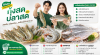 เคล็ดลับเลือกกุ้งสด–ปลาสด ให้ได้ของดีทุกครั้ง เคล็ดลับเลือกกุ้งสด–ปลาสด ให้ได้ของดีทุกครั้ง