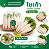 ဒိုင်ကွန်မုန်လာဥနီ - ၁ ကီလိုဂရမ်