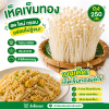 เห็ดเข็มทอง - 250g
