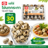 Quail 30 Eggs - Pack