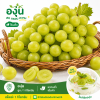 องุ่นเขียว - 1kg
