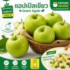 แอปเปิลเขียว - 1kg