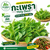Holy Basil - 500g.