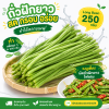 ถั่วฝักยาว - 250g