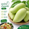 มะม่วง – น้ำดอกไม้-ดิบ - 1kg