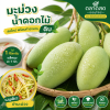 มะม่วง – น้ำดอกไม้-ดิบ - 1kg