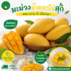 มะม่วง – น้ำดอกไม้-สุก - 1kg