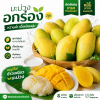มะม่วง – อกร่อง - 1kg