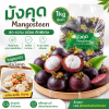 มังคุด - 1kg