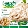 เห็ดนางฟ้า - 250g