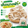 เห็ดนางฟ้า - 250g