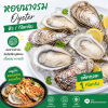 Oyster - 1kg