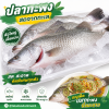 ปลากะพง - 1kg