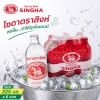 สิงห์ น้ำโซดา - 325ml. x 6