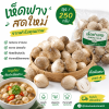 เห็ดฟาง - 250g