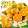 ส้มเขียวหวาน (โชกุน) - 1kg
