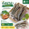 กุ้งนาง (กุ้งกุลาดำ) – ไซส์ S30 - 1kg