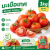 Tomato - 1kg