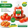 มะเขือเทศ - 250g