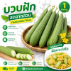 บวบ - 1kg