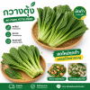 กวางตุ้ง - 1kg