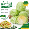 กะหล่ำปลี - 1kg