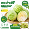 กะหล่ำปลี - 250g